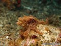 foto de buceo
