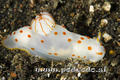 foto de buceo