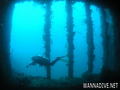 foto de buceo