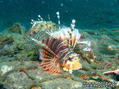 foto de buceo