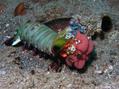 foto de buceo