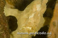 foto de buceo