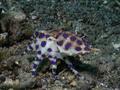 foto de buceo