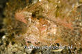 foto de buceo