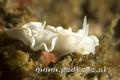 foto de buceo