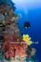 foto de buceo