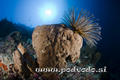 foto de buceo