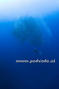 foto de buceo