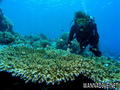 foto de buceo