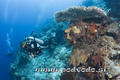 foto de buceo