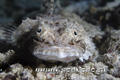 foto de buceo