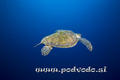 foto de buceo