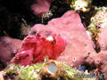foto de buceo