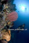 foto de buceo