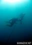 foto de buceo