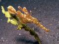 foto de buceo