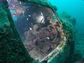 foto de buceo