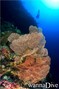 foto de buceo
