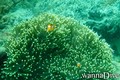 foto de buceo