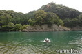 foto de buceo