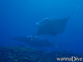 foto de buceo