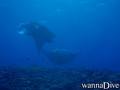 foto de buceo