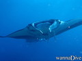 foto de buceo