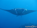 foto de buceo