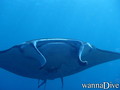 foto de buceo