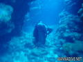 foto de buceo