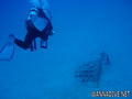 foto de buceo