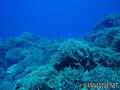 foto de buceo