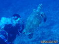foto de buceo