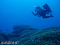 foto de buceo