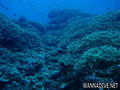 foto de buceo