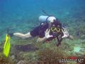 foto de buceo
