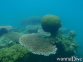 foto de buceo