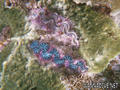 foto de buceo