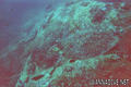 foto de buceo