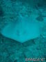 foto de buceo
