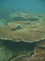 foto de buceo