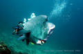 foto de buceo