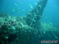 foto de buceo