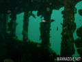 foto de buceo