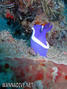 foto de buceo