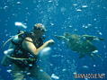 foto de buceo