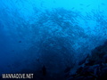 foto de buceo