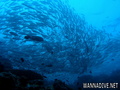 foto de buceo