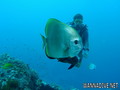 foto de buceo
