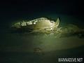 foto de buceo
